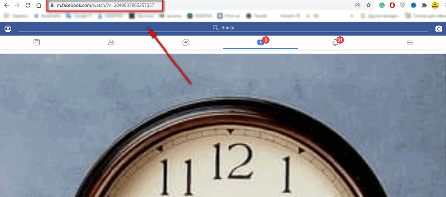 Как скачать видео с Facebook: ТОП-5 бесплатных способов
