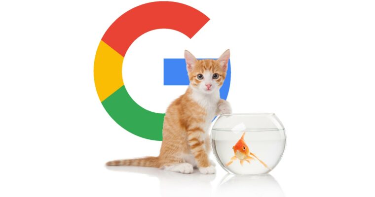 Google Ads подтвердил ошибку загрузки изображений в новой версии Редактора