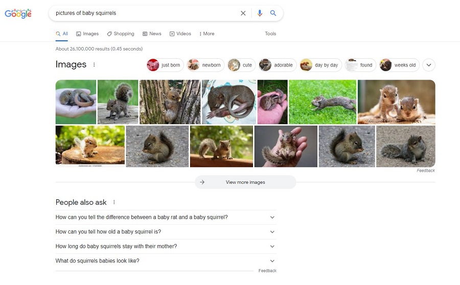 Google запустил обновленный блок с картинками в десктопной выдаче