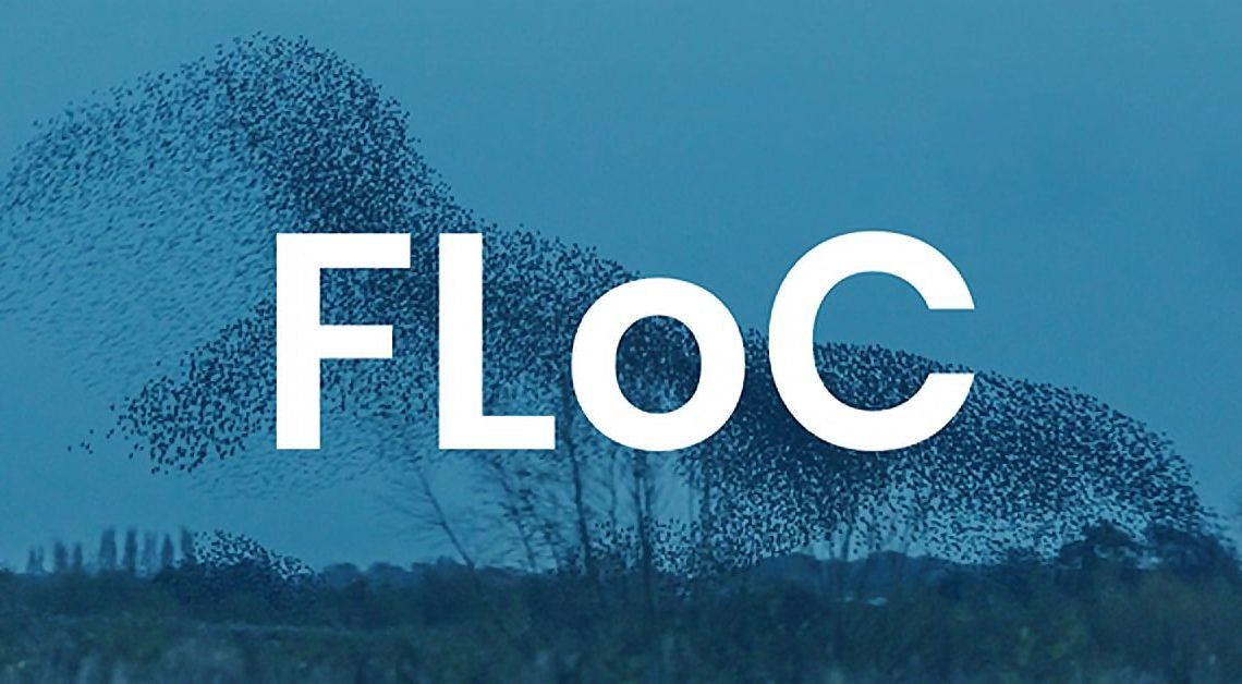 Google представил замену FLoC – Topics API